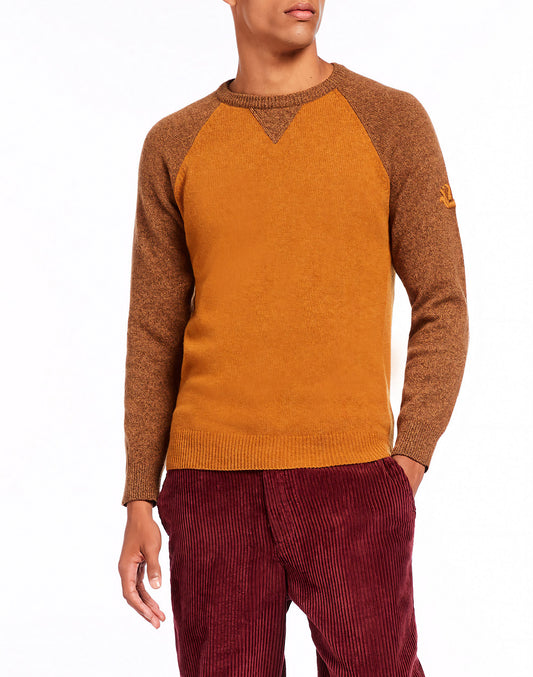 MAGLIONE CON MANICA IN RAGLAN