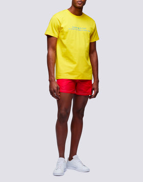 CAMISETA DE HOMBRE DE ALGODÓN CÁPSULA FLAG