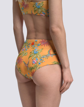 IPANEMA - BAÑADOR DE CINTURA ALTA CON ESTAMPADO SWEET PARROT